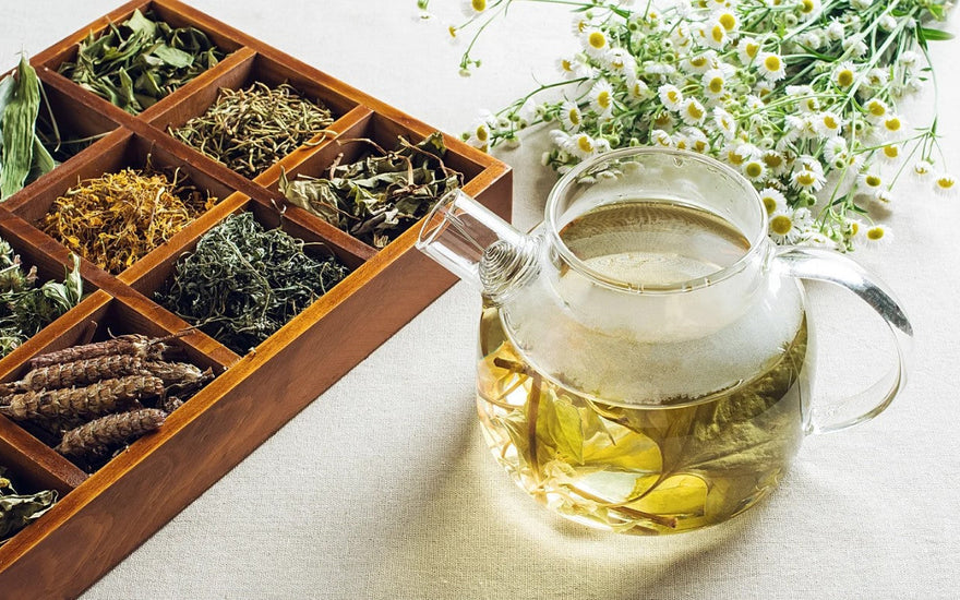 Herbal tea blend with turmeric, ginger, and cinnamon in a cup on a wooden tray with herbs around