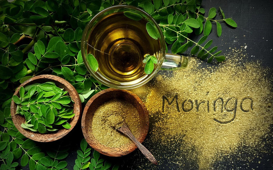 A warm-toned flat lay of moringa leaves, dried moringa powder in a bowl, and a steaming cup of herbal tea in a serene setting