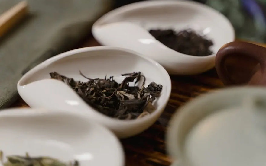 The Traditions and Modern Benefits of Tulsi Tea